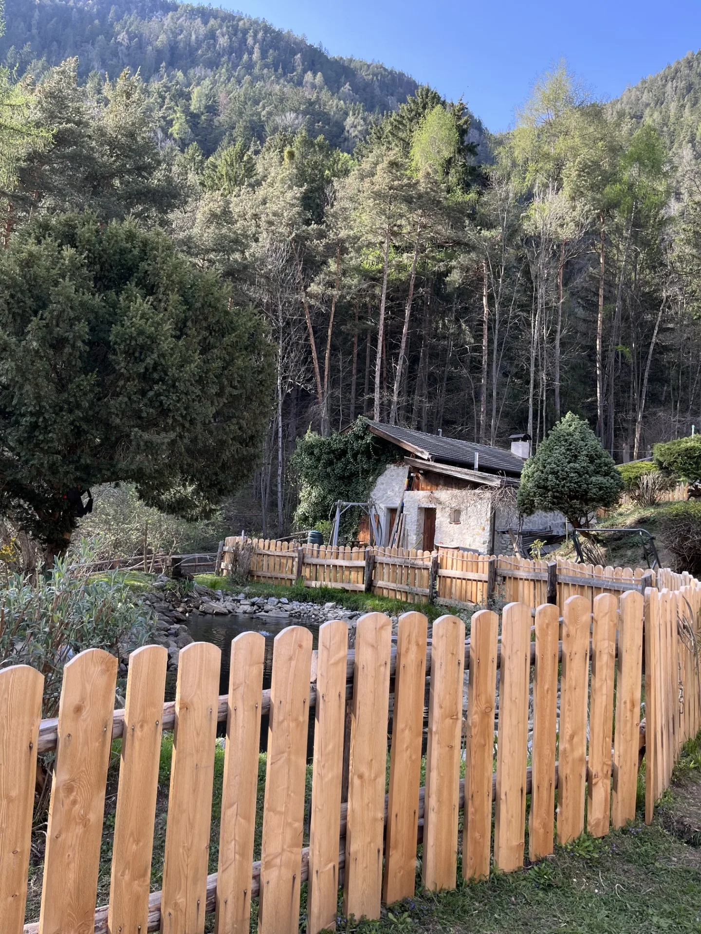 Il ruscello e il paesaggio boschivo intorno al maso Orthammer in Val Pusteria